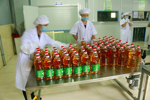 油茶又紅邊鎮(zhèn)夢 湖北有機(jī)山茶油