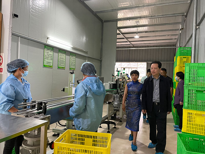 省人大常委副主任劉曉鳴率調研組前來我公司調研 湖北山茶油廠家