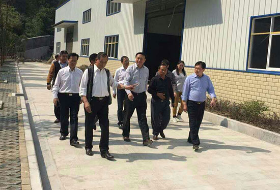 省領(lǐng)導(dǎo)在來鳳縣委書記胡澤和縣長向軍的陪同下參觀我公司廠房 湖北有機山茶油